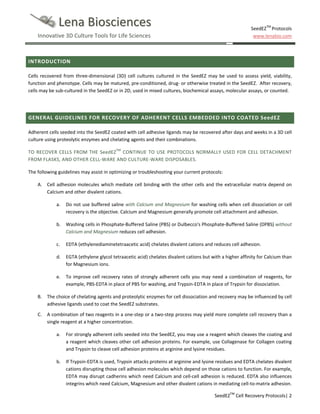 Lena Biosciences

SeedEZTM Protocols
www.lenabio.com

Innovative 3D Culture Tools for Life Sciences

INTRODUCTION
Cells recovered from three-dimensional (3D) cell cultures cultured in the SeedEZ may be used to assess yield, viability,
function and phenotype. Cells may be matured, pre-conditioned, drug- or otherwise treated in the SeedEZ. After recovery,
cells may be sub-cultured in the SeedEZ or in 2D, used in mixed cultures, biochemical assays, molecular assays, or counted.

GENERAL GUIDELINES FOR RECOVERY OF ADHERENT CELLS EMBEDDED INTO COATED SeedEZ
Adherent cells seeded into the SeedEZ coated with cell adhesive ligands may be recovered after days and weeks in a 3D cell
culture using proteolytic enzymes and chelating agents and their combinations.
TO RECOVER CELLS FROM THE SeedEZTM CONTINUE TO USE PROTOCOLS NORMALLY USED FOR CELL DETACHMENT
FROM FLASKS, AND OTHER CELL-WARE AND CULTURE-WARE DISPOSABLES.
The following guidelines may assist in optimizing or troubleshooting your current protocols:
A. Cell adhesion molecules which mediate cell binding with the other cells and the extracellular matrix depend on
Calcium and other divalent cations.
a.

Do not use buffered saline with Calcium and Magnesium for washing cells when cell dissociation or cell
recovery is the objective. Calcium and Magnesium generally promote cell attachment and adhesion.

b.

Washing cells in Phosphate-Buffered Saline (PBS) or Dulbecco's Phosphate-Buffered Saline (DPBS) without
Calcium and Magnesium reduces cell adhesion.

c.

EDTA (ethylenediaminetetraacetic acid) chelates divalent cations and reduces cell adhesion.

d.

EGTA (ethylene glycol tetraacetic acid) chelates divalent cations but with a higher affinity for Calcium than
for Magnesium ions.

e.

To improve cell recovery rates of strongly adherent cells you may need a combination of reagents, for
example, PBS-EDTA in place of PBS for washing, and Trypsin-EDTA in place of Trypsin for dissociation.

B. The choice of chelating agents and proteolytic enzymes for cell dissociation and recovery may be influenced by cell
adhesive ligands used to coat the SeedEZ substrates.
C.

A combination of two reagents in a one-step or a two-step process may yield more complete cell recovery than a
single reagent at a higher concentration.
a.

For strongly adherent cells seeded into the SeedEZ, you may use a reagent which cleaves the coating and
a reagent which cleaves other cell adhesion proteins. For example, use Collagenase for Collagen coating
and Trypsin to cleave cell adhesion proteins at arginine and lysine residues.

b.

If Trypsin-EDTA is used, Trypsin attacks proteins at arginine and lysine residues and EDTA chelates divalent
cations disrupting those cell adhesion molecules which depend on those cations to function. For example,
EDTA may disrupt cadherins which need Calcium and cell-cell adhesion is reduced. EDTA also influences
integrins which need Calcium, Magnesium and other divalent cations in mediating cell-to-matrix adhesion.
SeedEZTM Cell Recovery Protocols| 2

 