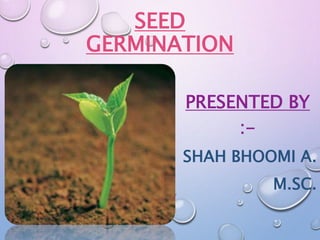 SEED
GERMINATION
PRESENTED BY
:-
SHAH BHOOMI A.
M.SC.
 