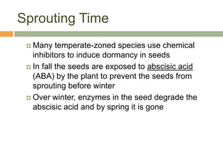 Seed Germination.pptx