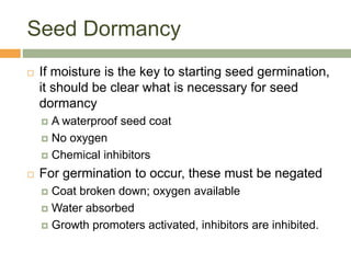 Seed Germination.pptx