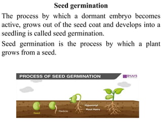 Seed germination
The process by which a dormant embryo becomes
active, grows out of the seed coat and develops into a
seedling is called seed germination.
Seed germination is the process by which a plant
grows from a seed.
 