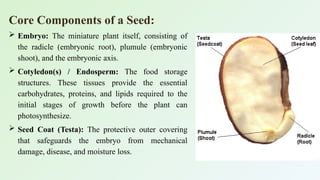 Comprehensive Guide to Seed Biology, Types, and Germination Processes ...