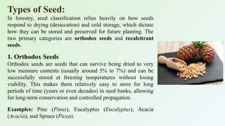 Comprehensive Guide to Seed Biology, Types, and Germination Processes ...