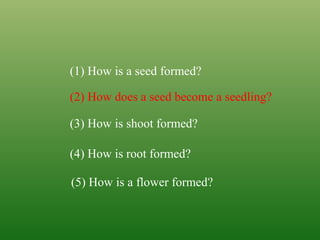 (1) How is a seed formed?
(2) How does a seed become a seedling?
(3) How is shoot formed?
(4) How is root formed?
(5) How is a flower formed?
 