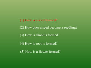 (1) How is a seed formed?
(2) How does a seed become a seedling?
(3) How is shoot is formed?
(4) How is root is formed?
(5) How is a flower formed?
 