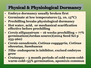 Physical & Physiological Dormancy
• Embryo dormancy usually broken first
• Germinate at low temperatures (5, 10, 15°C)
• Prechilling breaks physiological dormancy
• Hot water, acid, or mechanical scarification
effective before prechilling
• Cercis siliquastrum – 16 weeks prechilling = 77%
germination(Jordan source)(2004 Seed Sci p
255-260)
• Cersis canadensis, Cotinus coggygria, Cotinus
obovatus, Sambuscus
• Tilia- endosperm is inhibitor, excised embryos
grow
• Crataegus – 3 month periods of cold-warm-cold-
warm-cold=55% germination, apomixis common
 