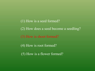 (1) How is a seed formed?
(2) How does a seed become a seedling?
(3) How is shoot formed?
(4) How is root formed?
(5) How is a flower formed?
 