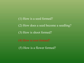 (1) How is a seed formed?
(2) How does a seed become a seedling?
(3) How is shoot formed?
(4) How is root formed?
(5) How is a flower formed?
 