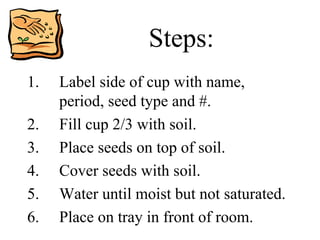 Steps: Label side of cup with name, period, seed type and #. Fill cup 2/3 with soil. Place seeds on top of soil. Cover seeds with soil. Water until moist but not saturated. Place on tray in front of room. 