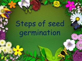 Steps of seed
germination
 