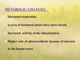 METABOLIC CHANGES
Increased respiration.
Leaves of hardened plants have more starch.
Increased activity of the mitochondria.
Higher rate of photosynthesis because of increase
in the bound water.
09-10-2018 18
 