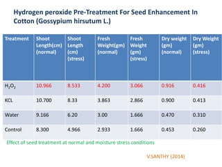 Hydrogen peroxide Pre-Treatment For Seed Enhancement In
Cotton (Gossypium hirsutum L.)
Treatment Shoot
Length(cm)
(normal)
Shoot
Length
(cm)
(stress)
Fresh
Weight(gm)
(normal)
Fresh
Weight
(gm)
(stress)
Dry weight
(gm)
(normal)
Dry Weight
(gm)
(stress)
H2O2 10.966 8.533 4.200 3.066 0.916 0.416
KCL 10.700 8.33 3.863 2.866 0.900 0.413
Water 9.166 6.20 3.00 1.666 0.470 0.310
Control 8.300 4.966 2.933 1.666 0.453 0.260
Effect of seed treatment at normal and moisture stress conditions
V.SANTHY (2014)
 