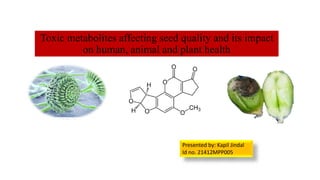 Toxic metabolites affecting seed quality and its impact
on human, animal and plant health
Presented by- KAPIL JINDAL
Presented by: Kapil Jindal
Id no. 21412MPP005
 