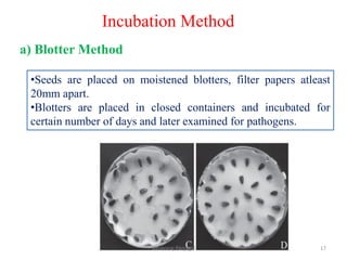 a) Blotter Method
•Seeds are placed on moistened blotters, filter papers atleast
20mm apart.
•Blotters are placed in closed containers and incubated for
certain number of days and later examined for pathogens.
Incubation Method
17
Basavaraj Panjagal
 