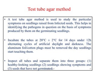 Test tube agar method
• A test tube agar method is used to study the particular
symptoms on seedlings raised from Infected seeds. This helps in
identifying the pathogens in question on the basis of symptoms
produced by them on the germinating seedlings.
• Incubate the tubes at 20°C ± 2°C for 14 days under 12h
alternating cycles of artificial daylight and darkness. The
aluminum foil/cotton plugs must be removed the day seedlings
start touching them.
• Inspect all tubes and separate them into three groups: (1)
healthy-looking seedlings (2) seedlings showing symptoms and
(3) seeds that have not germinated. 20
Basavaraj Panjagal
 