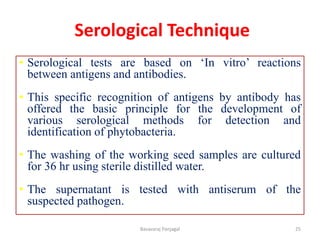 Serological Technique
• Serological tests are based on ‘In vitro’ reactions
between antigens and antibodies.
• This specific recognition of antigens by antibody has
offered the basic principle for the development of
various serological methods for detection and
identification of phytobacteria.
• The washing of the working seed samples are cultured
for 36 hr using sterile distilled water.
• The supernatant is tested with antiserum of the
suspected pathogen.
25
Basavaraj Panjagal
 