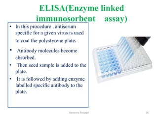 ELISA(Enzyme linked
immunosorbent assay)
• In this procedure , antiserum
specific for a given virus is used
to coat the polystyrene plate.
• Antibody molecules become
absorbed.
• Then seed sample is added to the
plate.
• It is followed by adding enzyme
labelled specific antibody to the
plate.
26
Basavaraj Panjagal
 