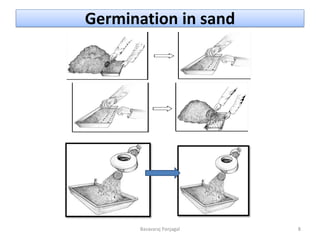 Germination in sand
8
Basavaraj Panjagal
 