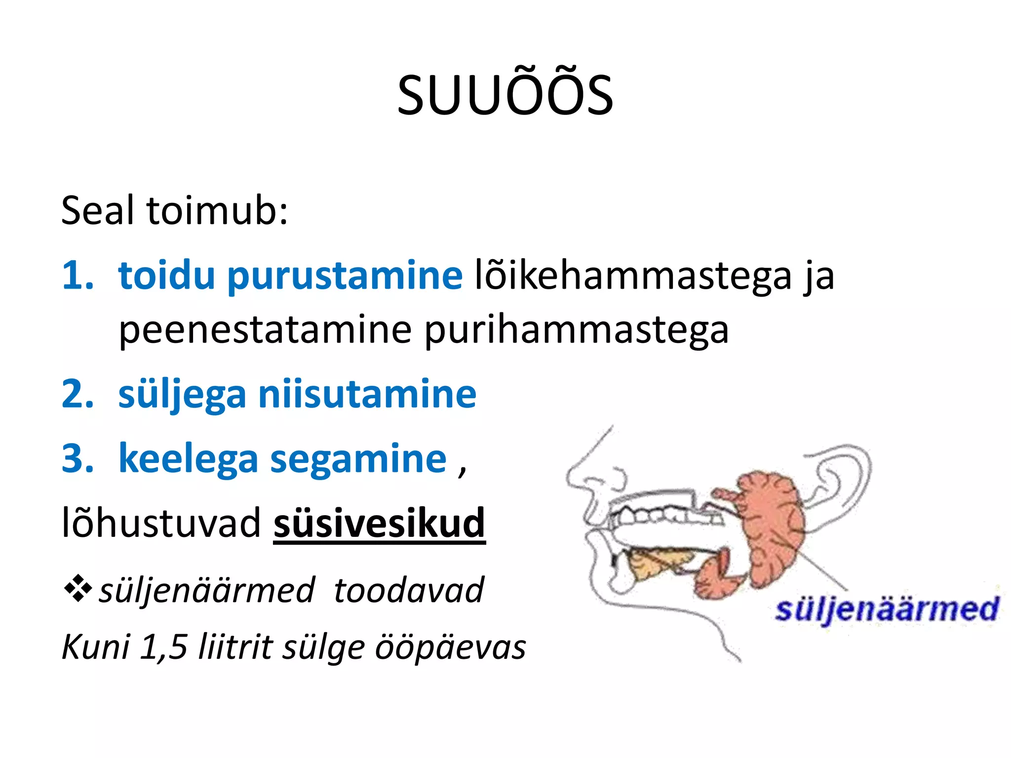 SUUÕÕS
Seal toimub:
1. toidu purustamine lõikehammastega ja
   peenestatamine purihammastega
2. süljega niisutamine
3. keelega segamine ,
lõhustuvad süsivesikud
süljenäärmed toodavad
Kuni 1,5 liitrit sülge ööpäevas
 
