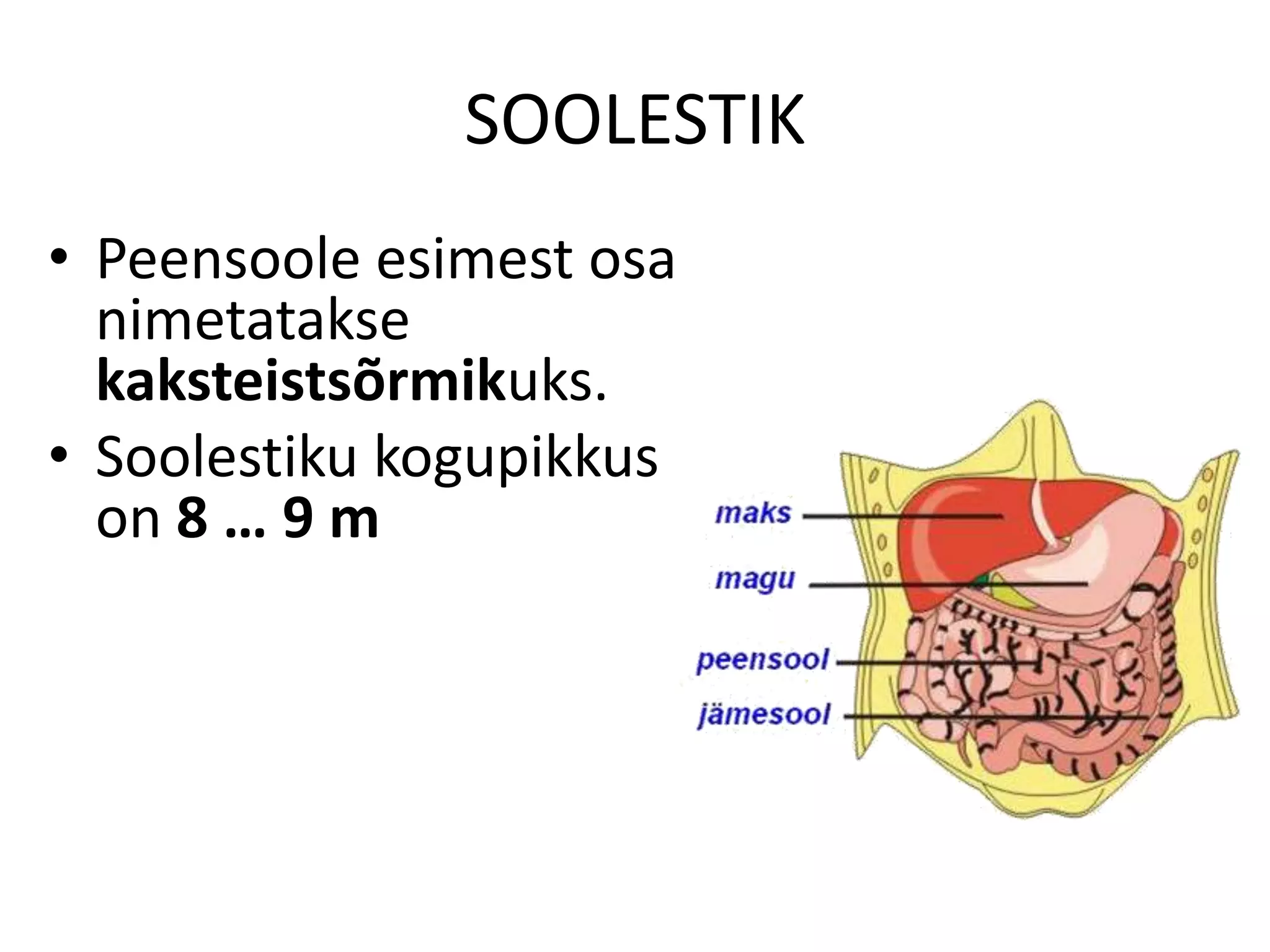 SOOLESTIK
• Peensoole esimest osa
  nimetatakse
  kaksteistsõrmikuks.
• Soolestiku kogupikkus
  on 8 … 9 m
 