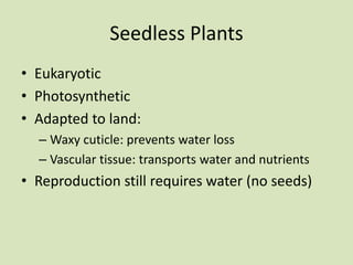 Seedless Plants
• Eukaryotic
• Photosynthetic
• Adapted to land:
– Waxy cuticle: prevents water loss
– Vascular tissue: transports water and nutrients
• Reproduction still requires water (no seeds)
 