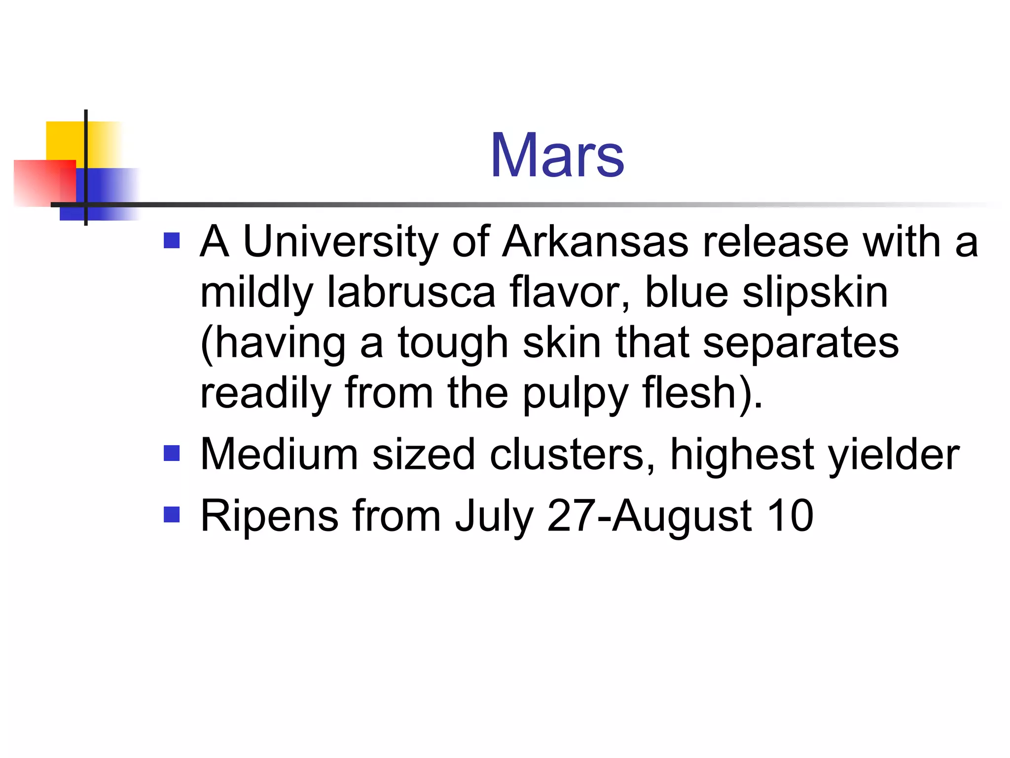 Mars A University of Arkansas release with a mildly labrusca flavor, blue slipskin (having a tough skin that separates readily from the pulpy flesh). Medium sized clusters, highest yielder Ripens from July 27-August 10 