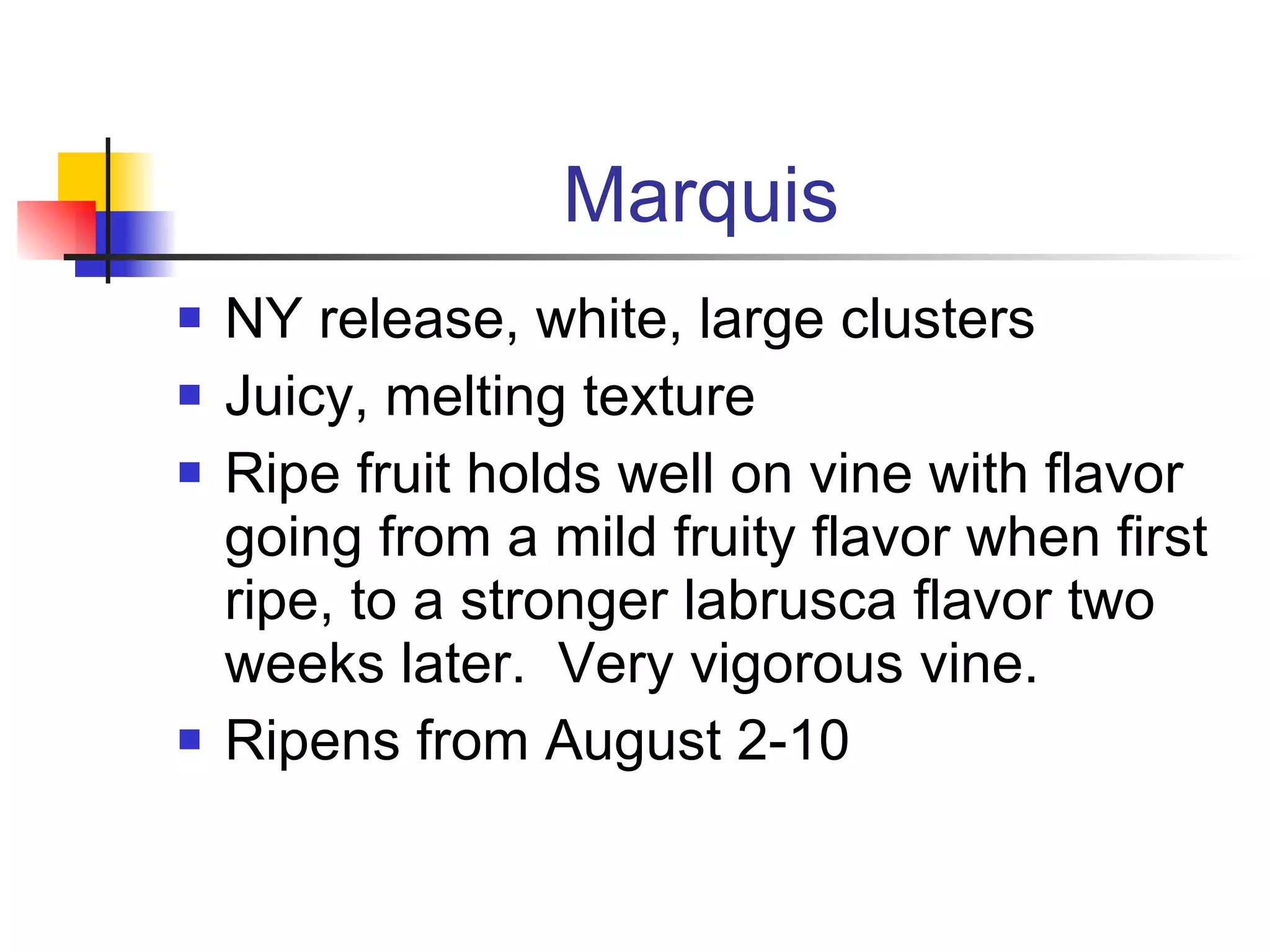 Marquis NY release, white, large clusters Juicy, melting texture Ripe fruit holds well on vine with flavor going from a mild fruity flavor when first ripe, to a stronger labrusca flavor two weeks later.  Very vigorous vine. Ripens from August 2-10 