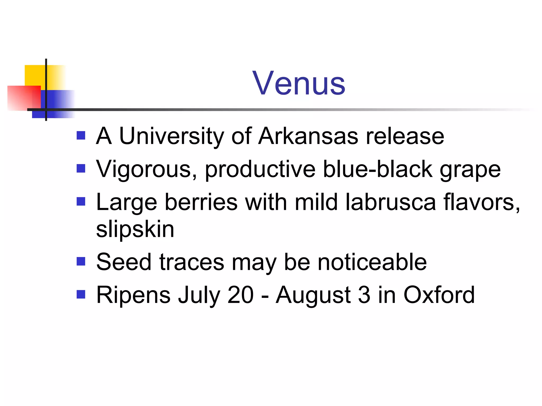 Venus A University of Arkansas release Vigorous, productive blue-black grape Large berries with mild labrusca flavors, slipskin Seed traces may be noticeable Ripens July 20 - August 3 in Oxford 