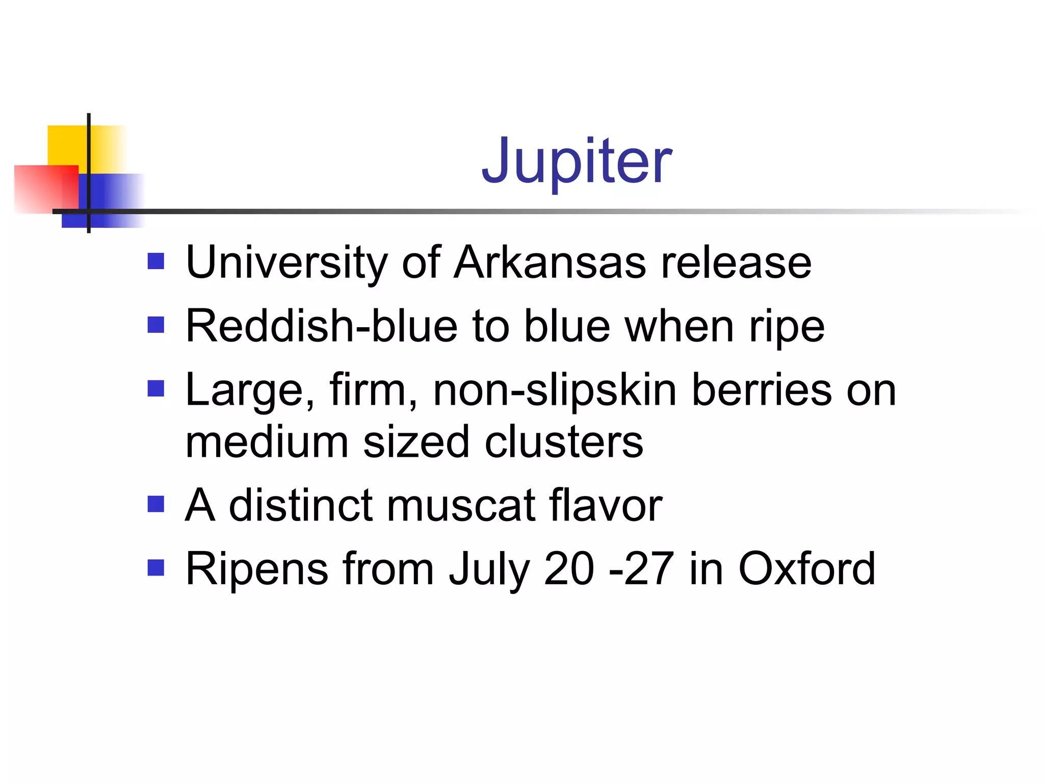 Jupiter University of Arkansas release Reddish-blue to blue when ripe Large, firm, non-slipskin berries on medium sized clusters A distinct muscat flavor Ripens from July 20 -27 in Oxford 