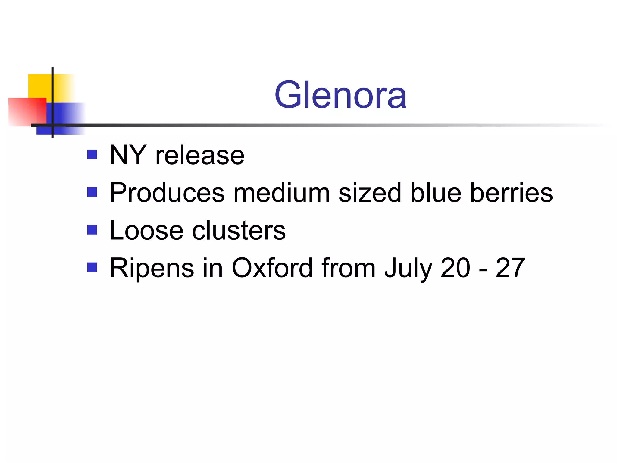 Glenora NY release Produces medium sized blue berries Loose clusters Ripens in Oxford from July 20 - 27 