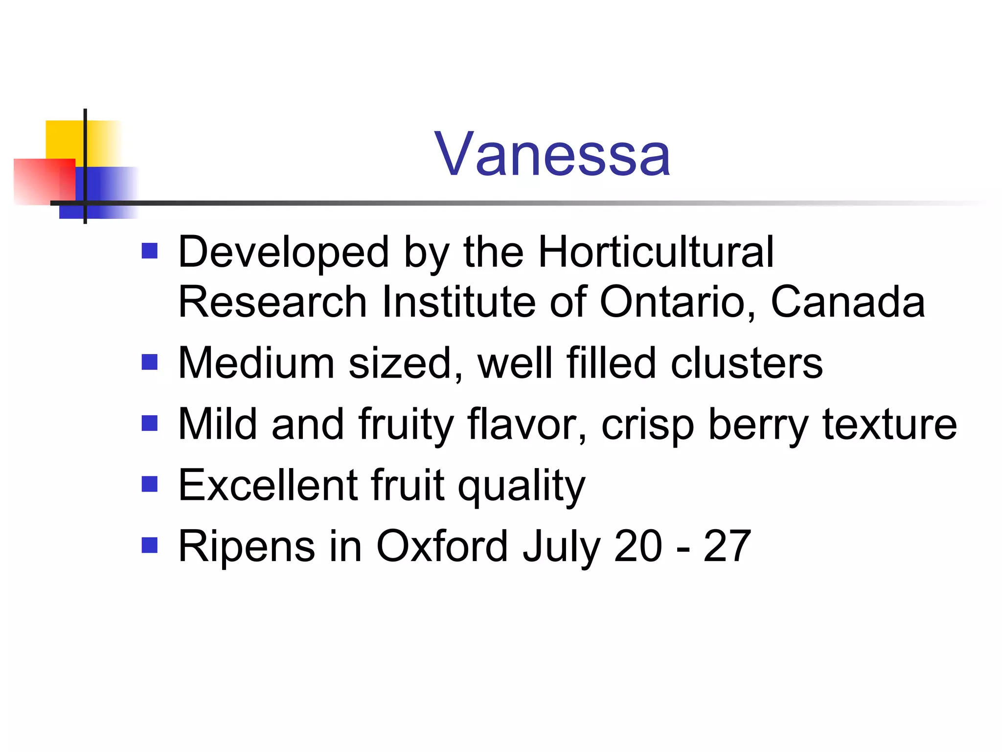 Vanessa Developed by the Horticultural Research Institute of Ontario, Canada Medium sized, well filled clusters Mild and fruity flavor, crisp berry texture Excellent fruit quality Ripens in Oxford July 20 - 27 