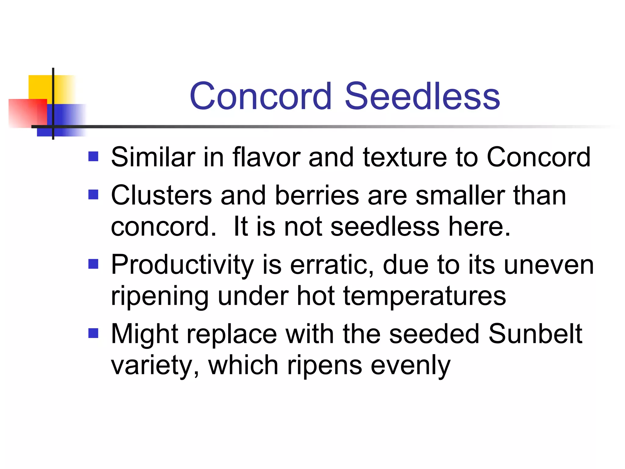 Concord Seedless Similar in flavor and texture to Concord Clusters and berries are smaller than concord.  It is not seedless here. Productivity is erratic, due to its uneven ripening under hot temperatures Might replace with the seeded Sunbelt variety, which ripens evenly 
