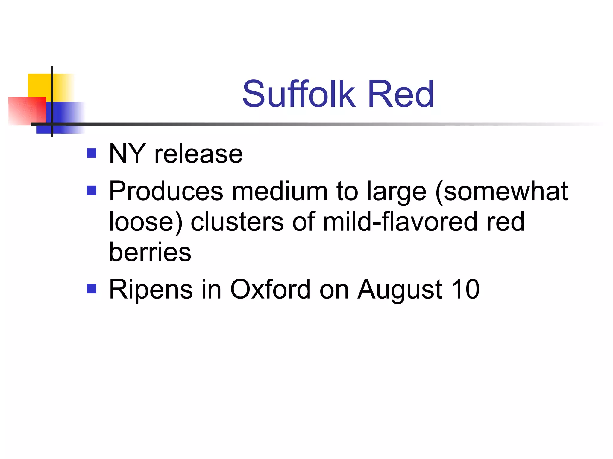 Suffolk Red NY release Produces medium to large (somewhat loose) clusters of mild-flavored red berries Ripens in Oxford on August 10 