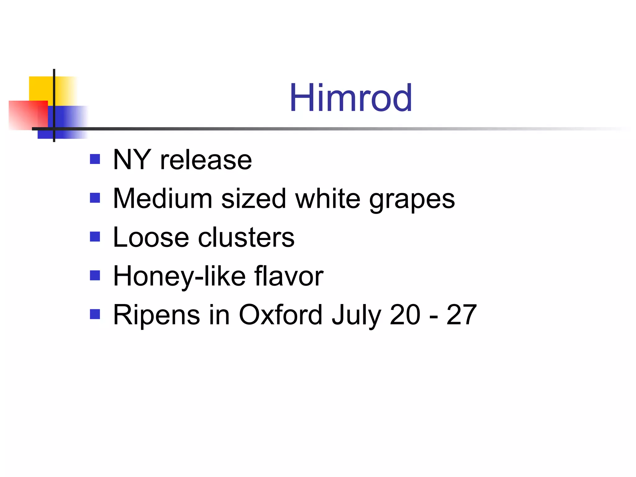 Himrod NY release Medium sized white grapes  Loose clusters Honey-like flavor Ripens in Oxford July 20 - 27 