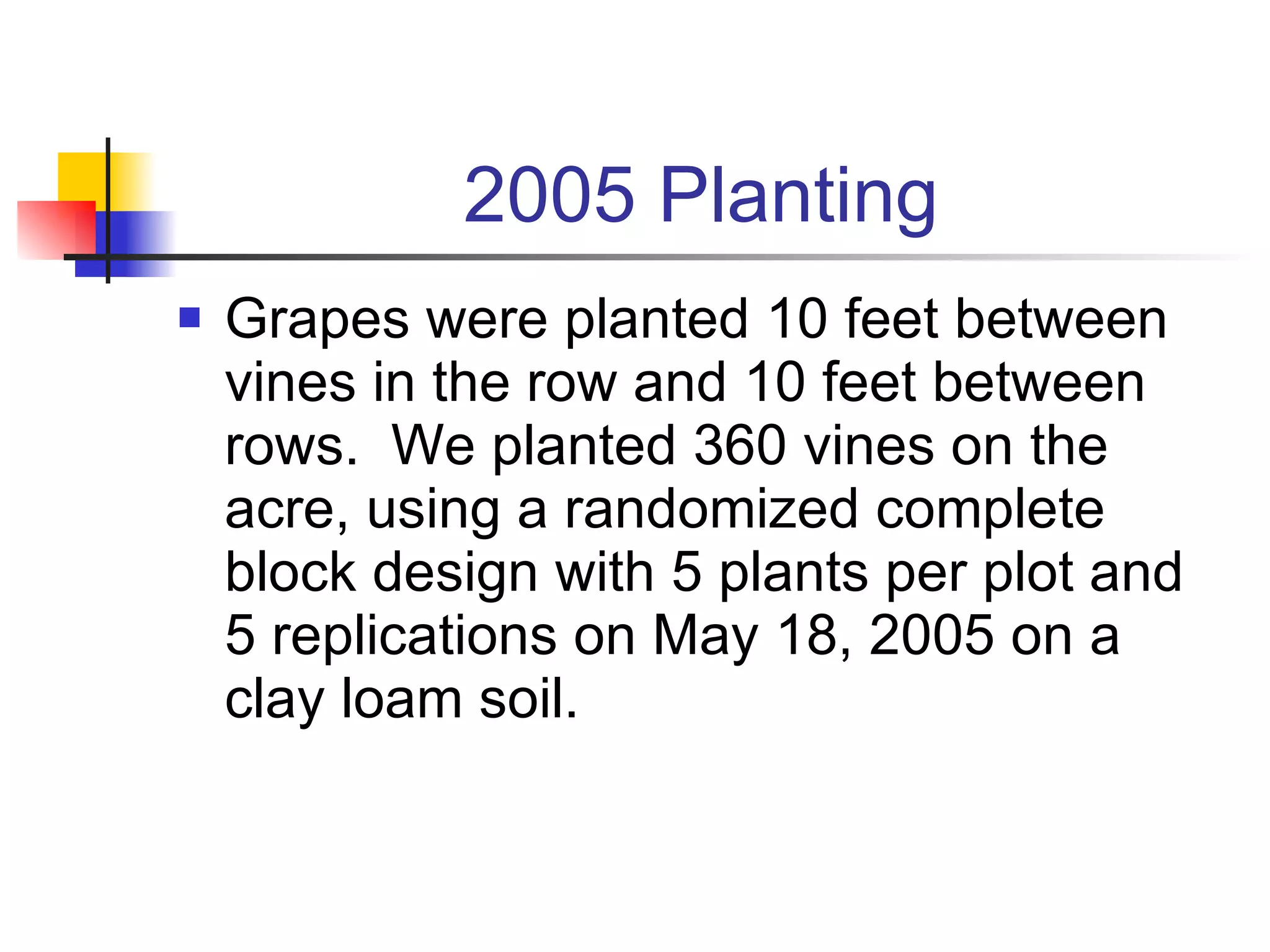 2005 Planting Grapes were planted 10 feet between vines in the row and 10 feet between rows.  We planted 360 vines on the acre, using a randomized complete block design with 5 plants per plot and 5 replications on May 18, 2005 on a clay loam soil. 