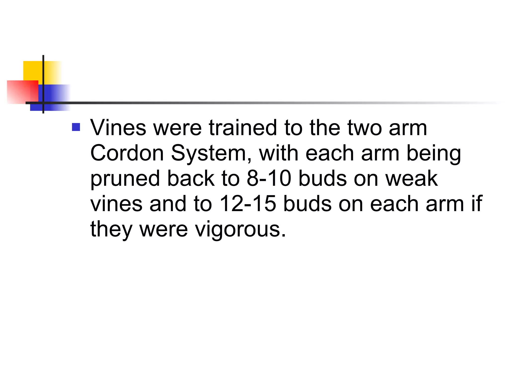 Vines were trained to the two arm Cordon System, with each arm being pruned back to 8-10 buds on weak vines and to 12-15 buds on each arm if they were vigorous. 