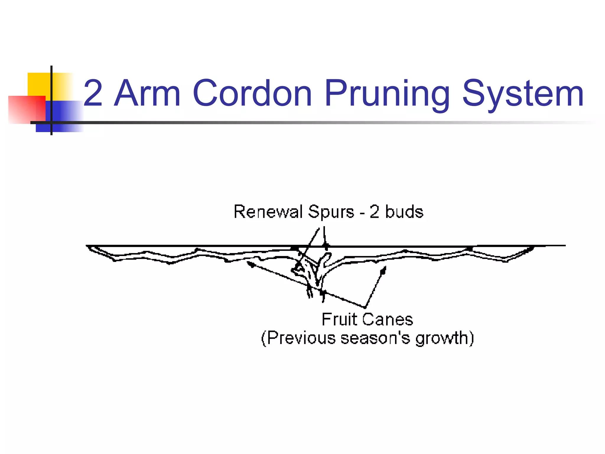 2 Arm Cordon Pruning System 