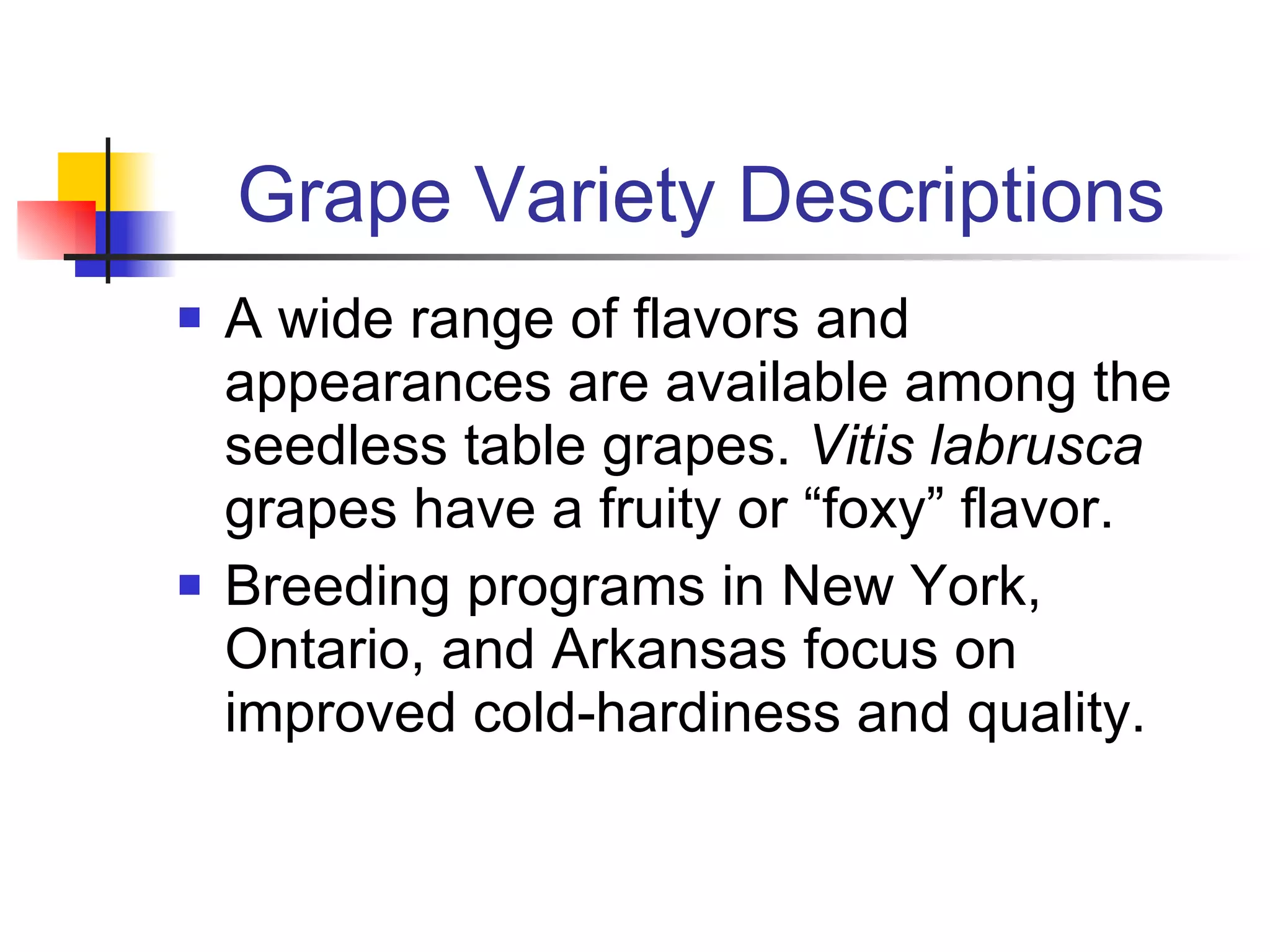 Grape Variety Descriptions A wide range of flavors and appearances are available among the seedless table grapes.  Vitis labrusca  grapes have a fruity or “foxy” flavor. Breeding programs in New York, Ontario, and Arkansas focus on improved cold-hardiness and quality. 