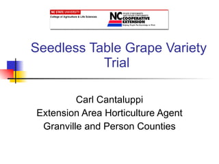 Seedless Table Grape Variety Trial Carl Cantaluppi Extension Area Horticulture Agent Granville and Person Counties 