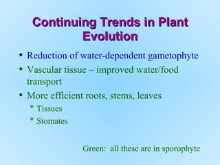 Continuing Trends in PlantContinuing Trends in Plant
EvolutionEvolution
• Reduction of water-dependent gametophyte
• Vascular tissue – improved water/food
transport
• More efficient roots, stems, leaves
* Tissues
* Stomates
Green: all these are in sporophyte
 
