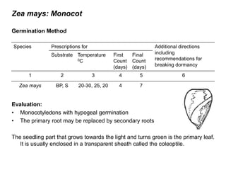 Zea mays: Monocot
Germination Method
Evaluation:
• Monocotyledons with hypogeal germination
• The primary root may be replaced by secondary roots
The seedling part that grows towards the light and turns green is the primary leaf.
It is usually enclosed in a transparent sheath called the coleoptile.
Species Prescriptions for Additional directions
including
recommendations for
breaking dormancy
Substrate Temperature
0C
First
Count
(days)
Final
Count
(days)
1 2 3 4 5 6
Zea mays BP, S 20-30, 25, 20 4 7
 