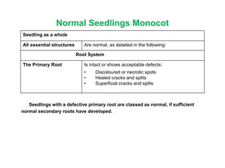 Normal Seedlings Monocot
Seedlings with a defective primary root are classed as normal, if sufficient
normal secondary roots have developed.
Seedling as a whole
All essential structures Are normal, as detailed in the following:
Root System
The Primary Root Is intact or shows acceptable defects:
• Discoloured or necrotic spots
• Healed cracks and splits
• Superficial cracks and splits
 