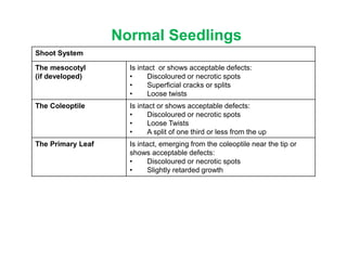 Normal Seedlings
Shoot System
The mesocotyl
(if developed)
Is intact or shows acceptable defects:
• Discoloured or necrotic spots
• Superficial cracks or splits
• Loose twists
The Coleoptile Is intact or shows acceptable defects:
• Discoloured or necrotic spots
• Loose Twists
• A split of one third or less from the up
The Primary Leaf Is intact, emerging from the coleoptile near the tip or
shows acceptable defects:
• Discoloured or necrotic spots
• Slightly retarded growth
 