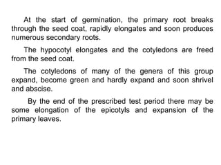At the start of germination, the primary root breaks
through the seed coat, rapidly elongates and soon produces
numerous secondary roots.
The hypocotyl elongates and the cotyledons are freed
from the seed coat.
The cotyledons of many of the genera of this group
expand, become green and hardly expand and soon shrivel
and abscise.
By the end of the prescribed test period there may be
some elongation of the epicotyls and expansion of the
primary leaves.
 