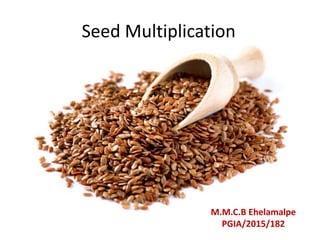 Seed Multiplication
M.M.C.B Ehelamalpe
PGIA/2015/182
 