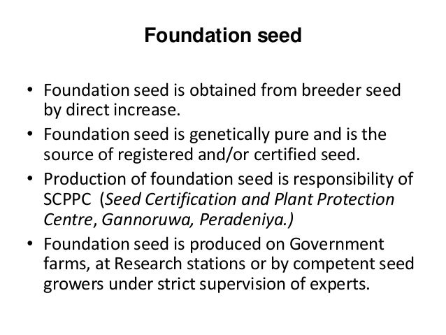 Seed Multiplication
