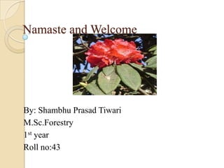 Namaste and Welcome

By: Shambhu Prasad Tiwari
M.Sc.Forestry
1st year
Roll no:43

 