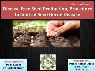 Presentation on…..
Disease Free Seed Production, Procedure
to Control Seed Borne Disease
Presented by….
Prince Kumar Gupta
Ph.D (2ⁿᵈyear)
Id.No. 54157
Course Instructor..
Dr. B. Kumar
Dr. Rashmi Tiwari
 