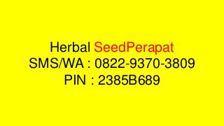 Herbal SeedPerapat
SMS/WA : 0822-9370-3809
PIN : 2385B689
 