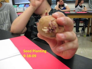 Seed Planting 9-18-09 